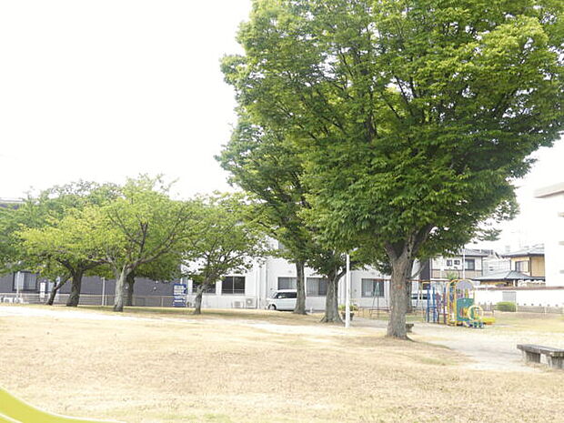 南庄中公園（約321m）