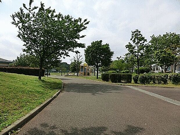 瀬谷本郷公園（約927m）