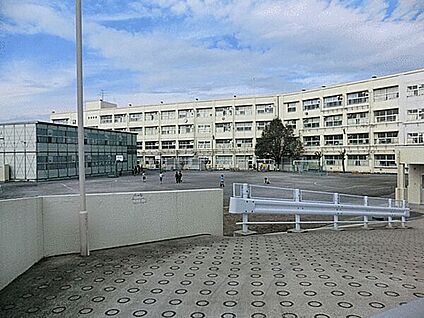 横浜市立本宿小学校 1036m