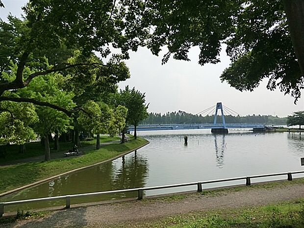 水元公園（約460m）