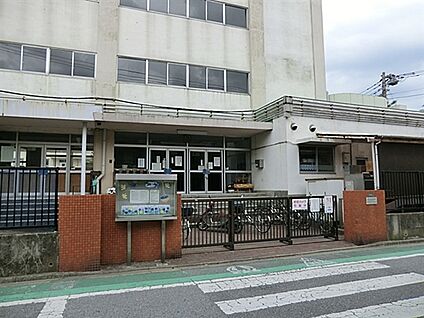 葛飾区立新宿中学校 656m