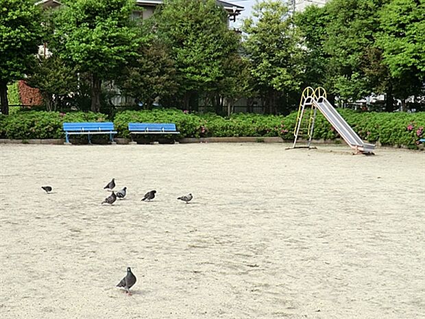 本町２丁目公園（約776m）