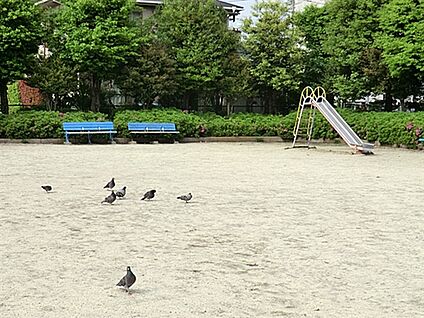 川口市立本町小学校 907m