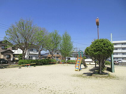 白晴公園 176m