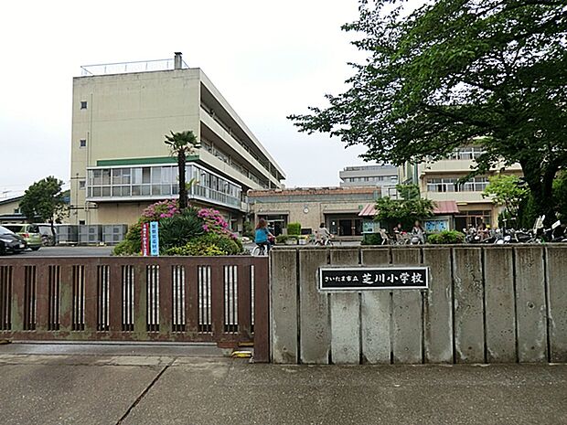 さいたま市立芝川小学校（約759m）