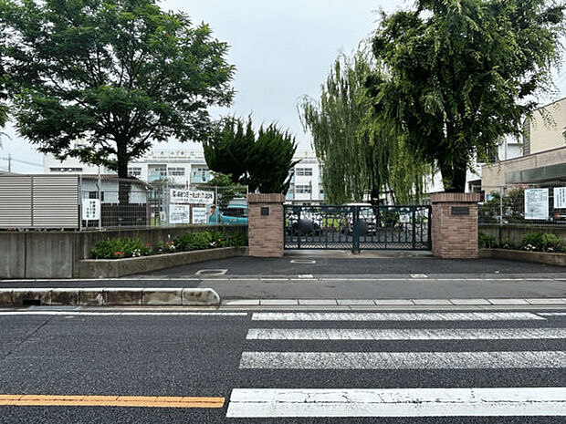 川口市立芝小学校（約285m）