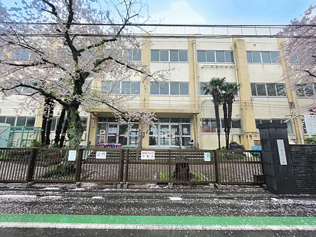 葛飾区立柴又小学校（約1,074m）
