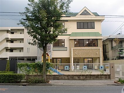 猫洞保育園 536m