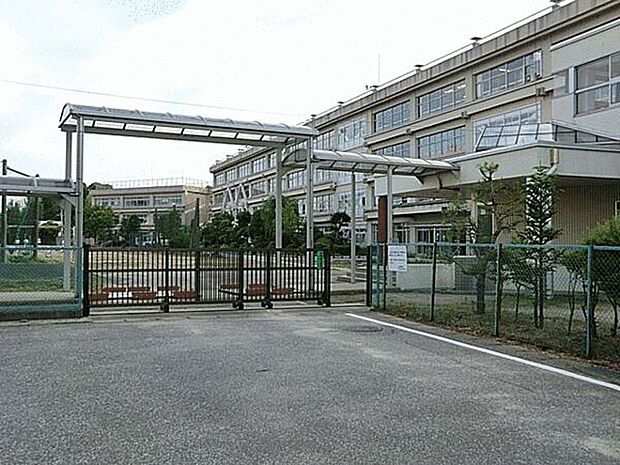 柏市立柏第三中学校（約1,034m）