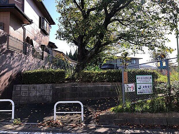 大浦池公園（約562m）