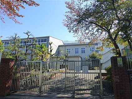 横浜市立南が丘中学校 533m