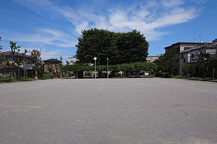 東植竹公園 700m