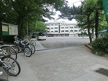 江戸川区立小岩第三中学校 1317m