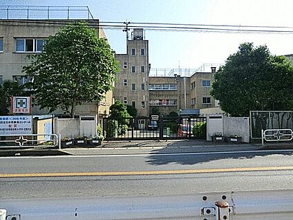 柏市立酒井根中学校 906m