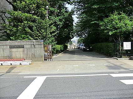 朝霞市立東朝霞保育園 1128m