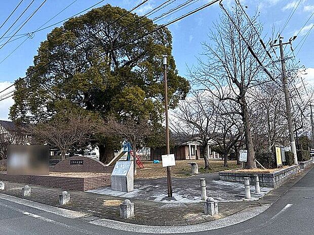くすの木公園(約980m)