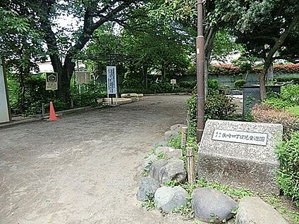 豊島区立要小学校 661m