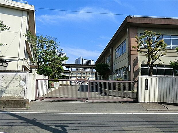 川崎市立御幸中学校（約804m）