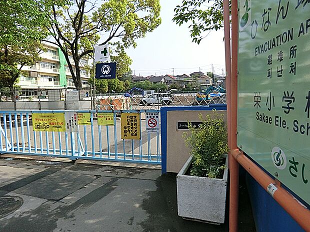 さいたま市立栄小学校（約531m）
