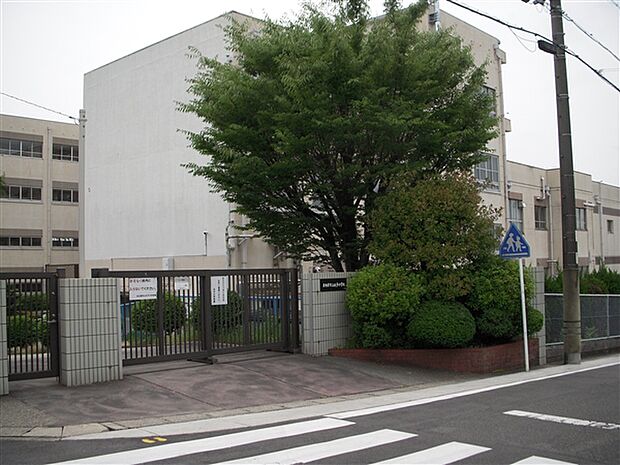 名古屋市立太子小学校(約384m)