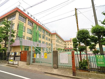 墨田区立第一寺島小学校 1039m
