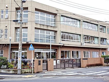 川崎市立橘小学校 594m