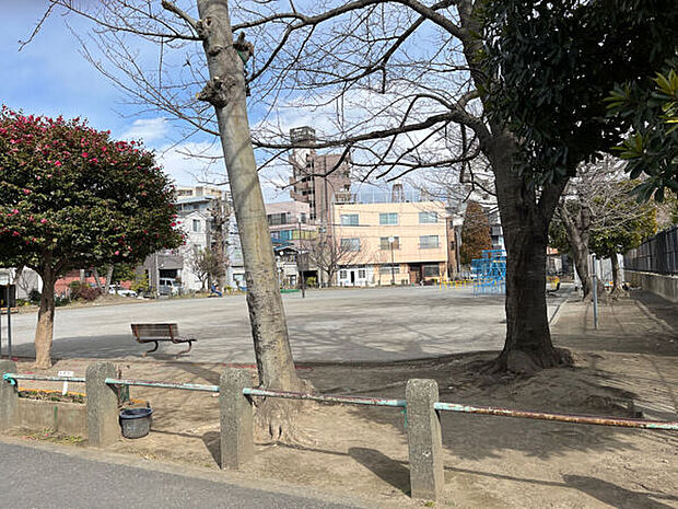 浜町公園（約715m）