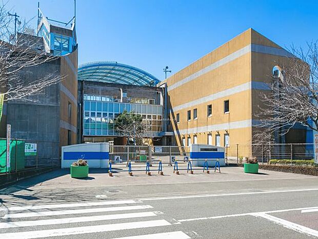 茅ヶ崎市立浜之郷小学校(約1,500m)