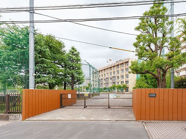 葛飾区立金町中学校（約496m）