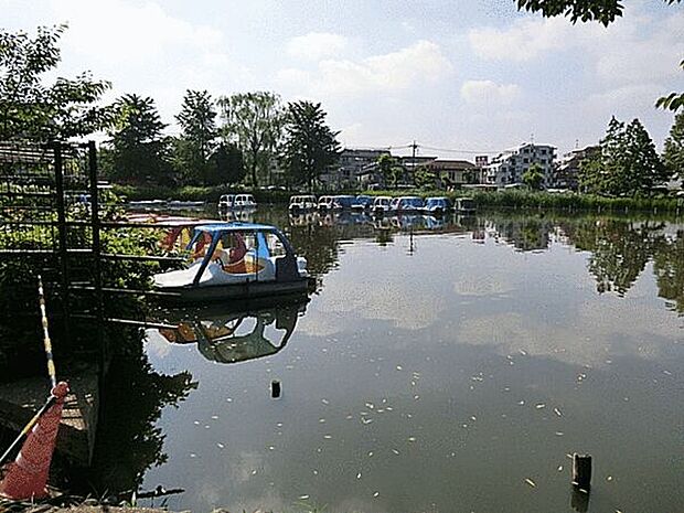 石神井公園(約761m)