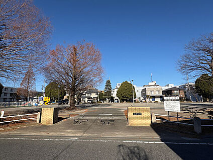 根木橋公園 782m