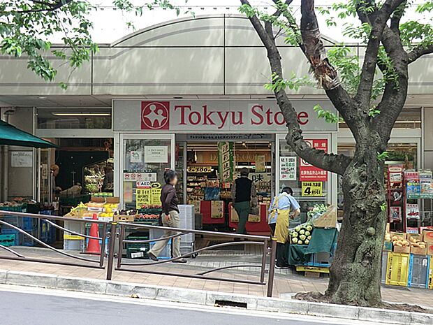 東急ストア宮崎台店(約622m)