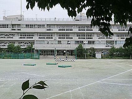 国分寺市立けやき公園 1244m