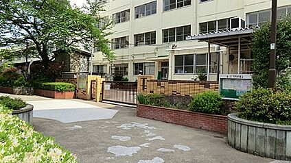 中野区立塔山小学校 645m