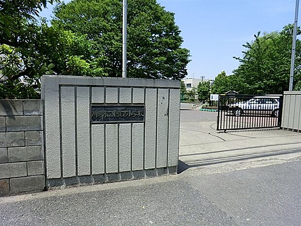 川崎市立東住吉小学校(約661m)
