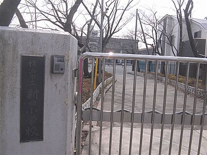 綱島上町公園 1116m