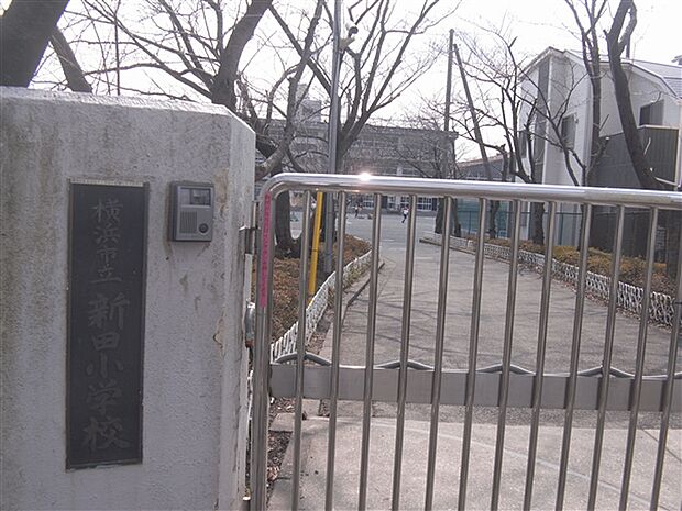 横浜市立新田小学校(約1,224m)