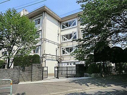 練馬区立八坂小学校 260m
