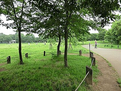 杉並区立柏の宮公園 690m