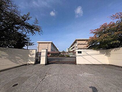 桃園公園 200m