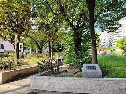 中津公園 959m