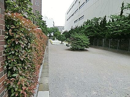 えのき橋児童遊園 621m