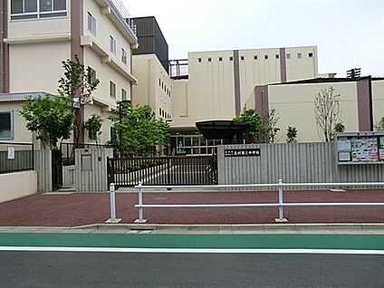 板橋区立志村第三中学校 596m