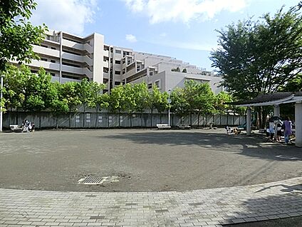 東高津公園 548m