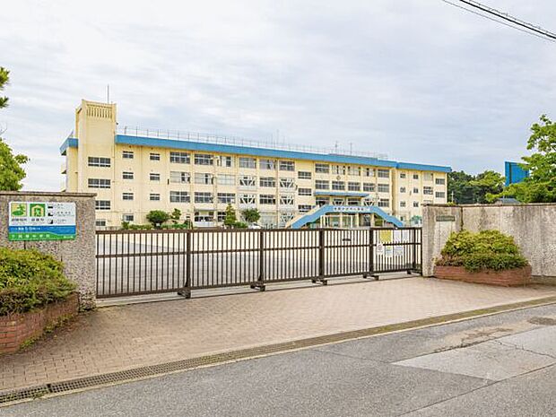市川市立下貝塚中学校(約919m)