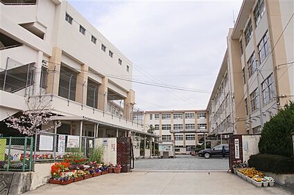 福岡市立賀茂小学校 90m
