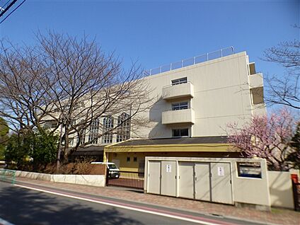 杉並区立宮前中学校 467m