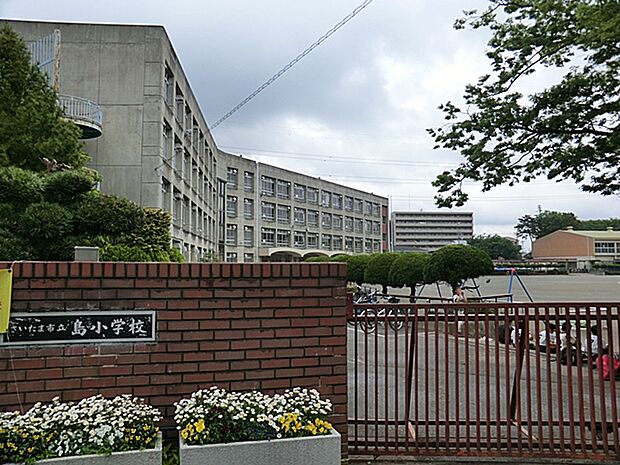 さいたま市立島小学校(約560m)