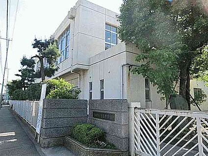 川崎市立日吉中学校 516m