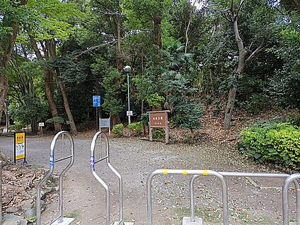 藤崎森林公園 1109m
